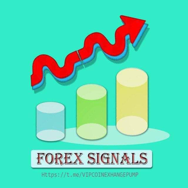 Vipcoinexhangepump Channel Statistics Forex Signals Pro - 